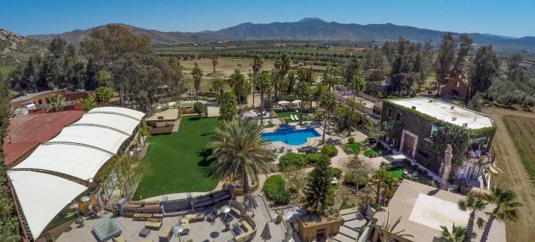 瓜达卢佩谷精品酒店和水疗中心(Hotel Boutique Valle de Guadalupe & Spa)图片