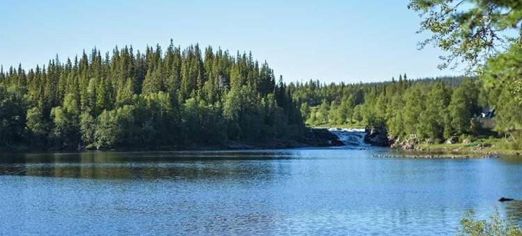 爱娜佛朔乐姆高山酒店(Enaforsholm Fjällgård)图片