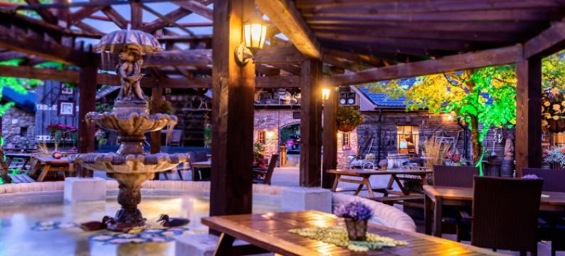 汉莎酒店(Hansa Hotel)图片