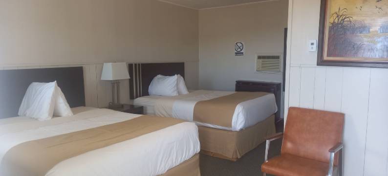 日落汽车旅馆(Sundown Motel)图片