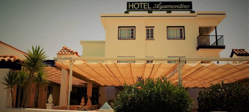 阿雅蒙提诺酒店(Hotel Ayamontino)图片