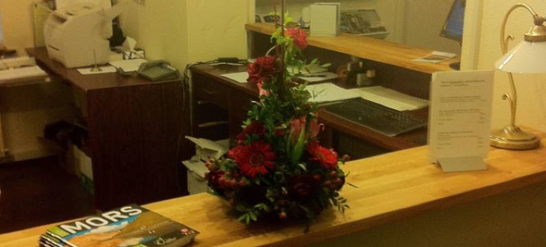 萨灵格苏德法格科隆酒店(Sallingsund Færgekro)图片