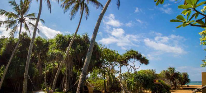 阿洪加拉遗产酒店(Heritance Ahungalla)图片