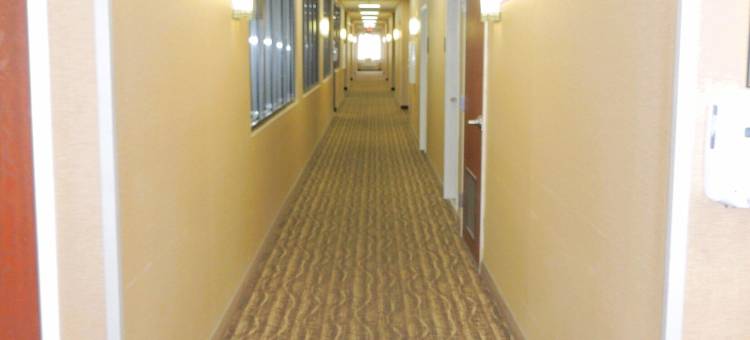 特温斯堡舒适套房酒店(Comfort Suites)图片