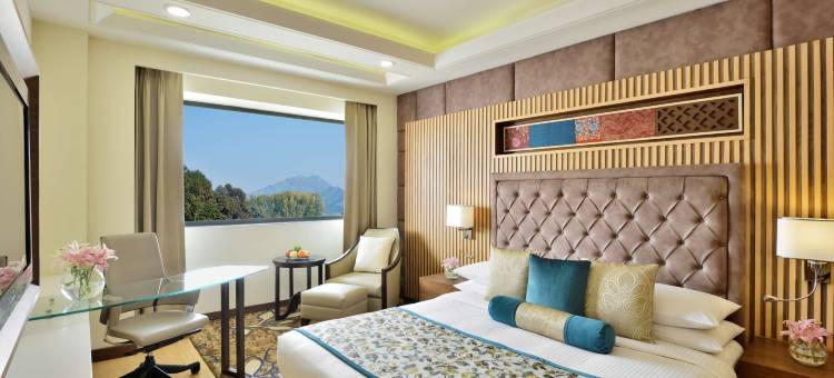 斯里纳格丽筠酒店(Radisson Srinagar)图片