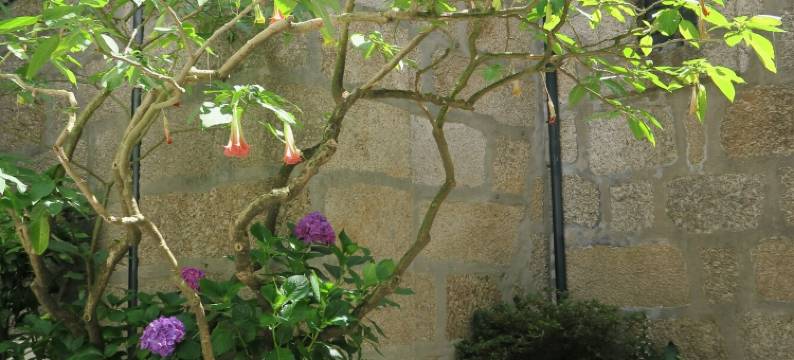 图罗酒店(Hotel Toural)图片