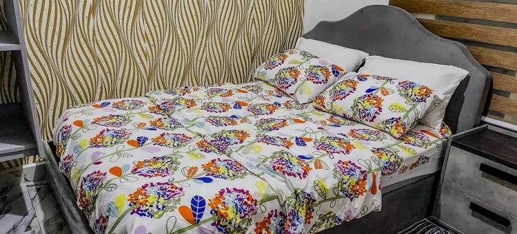 Gombe 的迷人金沙萨公寓 - 整栋房屋出租(Charming Kinshasa Apartment in Gombe - Entire House for Rent)图片