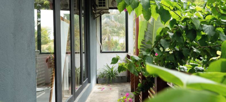 Parasol Doré = 金色阳伞(Parasol doré)图片