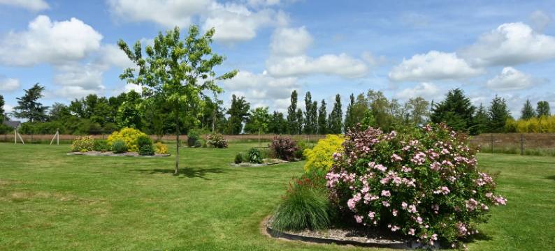 奥3森林(Aux 3 Forêts)图片