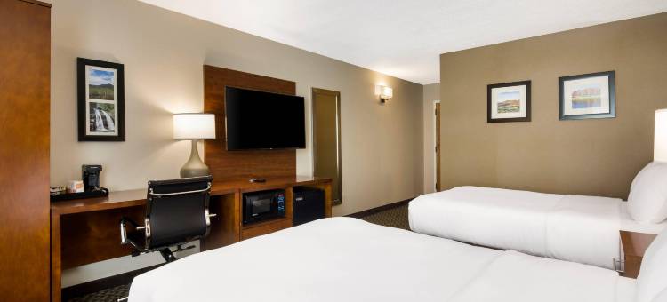 弗吉尼亚州霍斯中心因舒适酒店(Comfort Inn Virginia Horse Center)图片