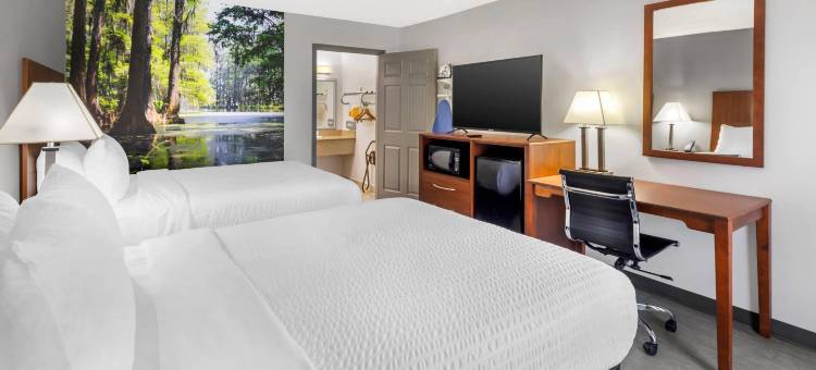 克拉丽奥波因特莫罗 - 亚特兰大南部酒店(Clarion Pointe Morrow - Atlanta South)图片