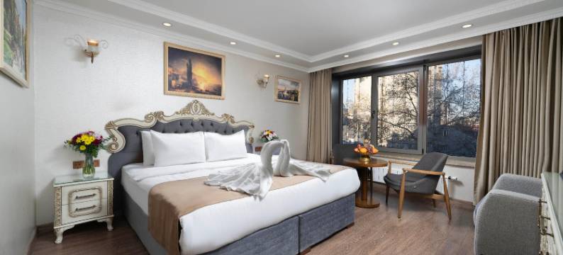 伊斯坦布尔阿尔玛迪娜酒店(Al Madina Hotel)图片