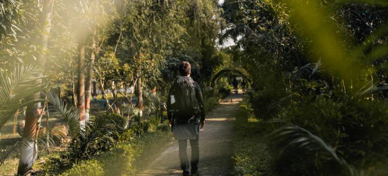 巴迪亚森林度假村(Bardia Forest Resort)图片