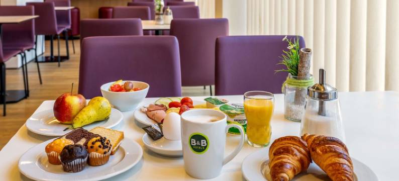 斯图加特-巴特坎斯塔特民宿酒店(B&B HOTEL Stuttgart-Bad Cannstatt)图片