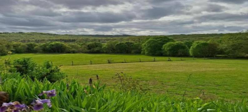 Nature Escape in Loubressac图片