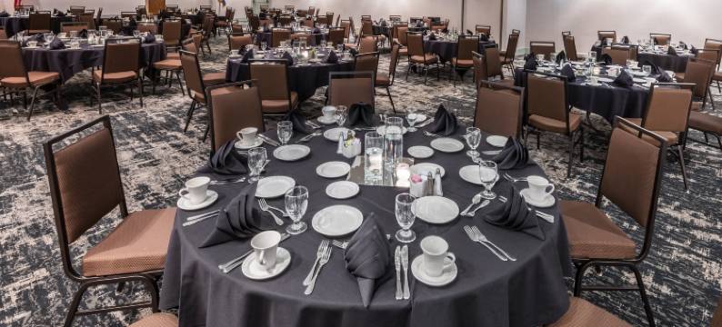 Holiday Inn 丹佛东 - 斯特普尔顿(Holiday Inn DENVER EAST by IHG)图片