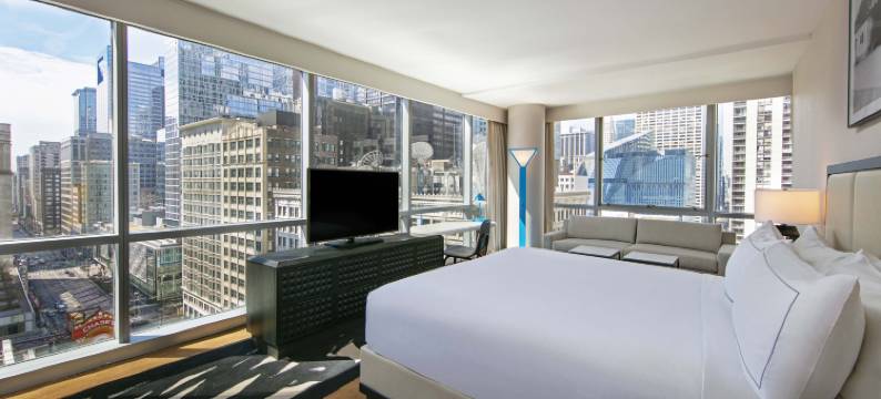 芝加哥威特希尔顿酒店(theWit Chicago, a Hilton Hotel)图片