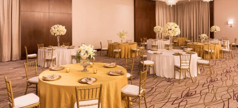 杰克逊威斯汀酒店(The Westin Jackson)图片