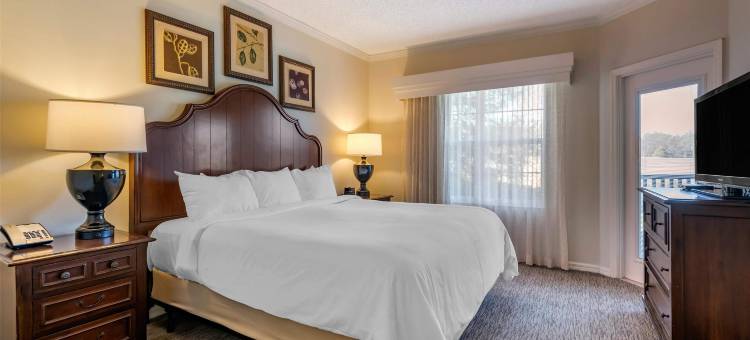 希尔顿度假俱乐部圣奥古斯丁(Hilton Vacation Club St Augustine)图片