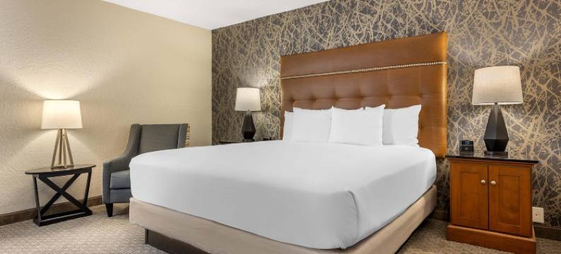 密苏里斯普林菲尔德德鲁里套房酒店(Drury Inn & Suites Springfield MO)图片