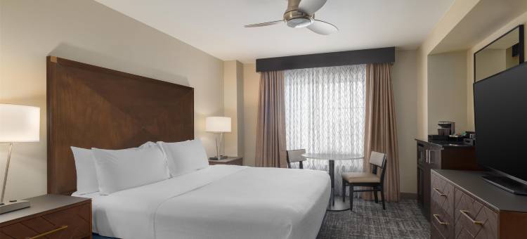 拉雷多希尔顿希尔顿安泊酒店(Embassy Suites by Hilton Laredo)图片