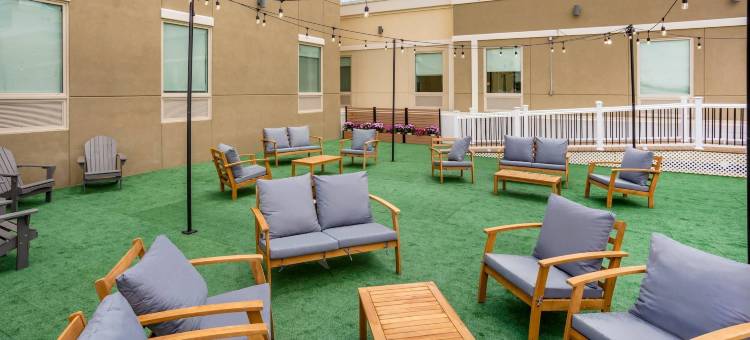 纽瓦克自由国际机场舒适套房酒店(Comfort Inn & Suites Newark Liberty International Airport)图片