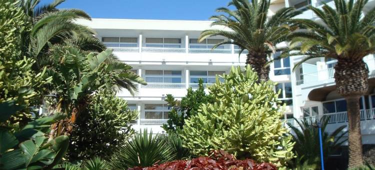 圣安东尼奥维克酒店(Vik Hotel San Antonio)图片