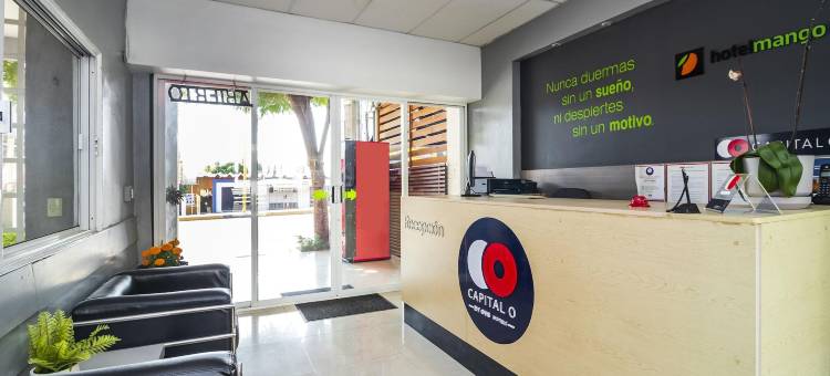 精选 O 芒果酒店 - 奥克斯特佩克六旗飓风港(Collection O Hotel Mango,Six Flags Hurricane Harbor Oaxtepec)图片