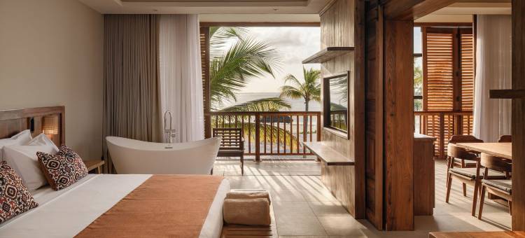 JAZ精英极光(JAZ Elite Aurora)图片