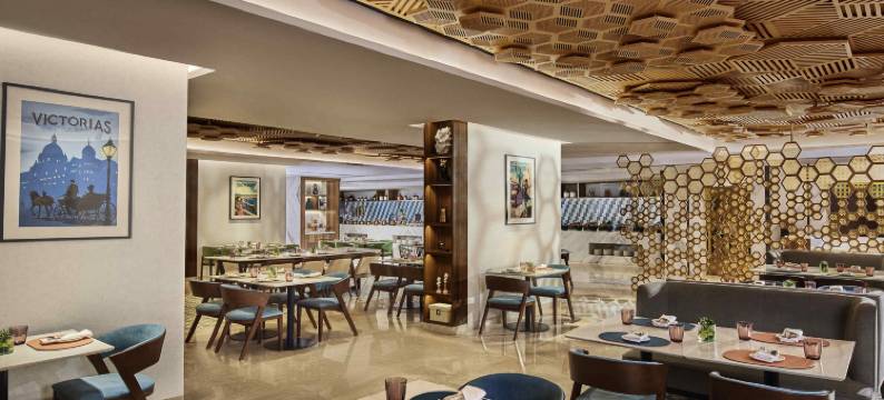 诺富特孟买国际机场酒店(Novotel Mumbai International Airport)图片