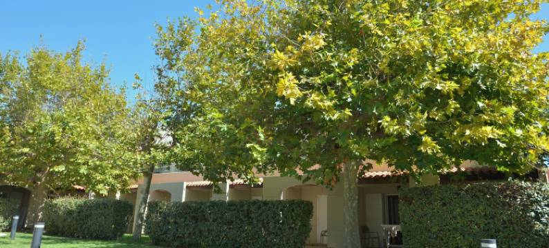 Résidence Kaliopé图片