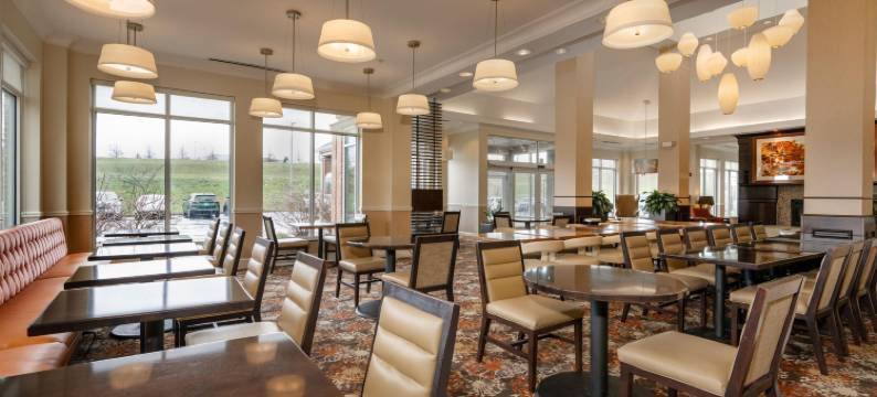 圣路易斯机场希尔顿花园酒店(Hilton Garden Inn St. Louis Airport)图片