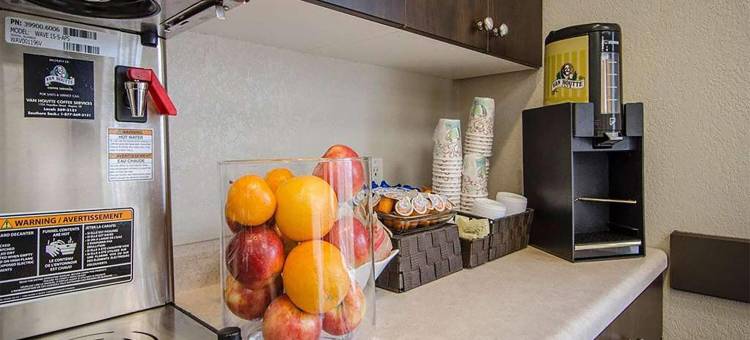 温德姆埃斯特万Travelodge套房(Travelodge Suites by Wyndham Estevan)图片
