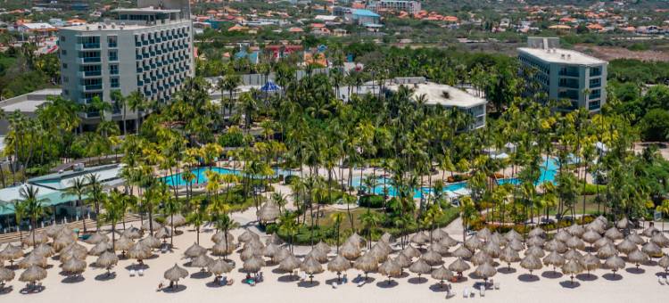 希尔顿阿鲁巴加勒比度假村的韦斯特利(The Westerly at Hilton Aruba Caribbean Resort)图片
