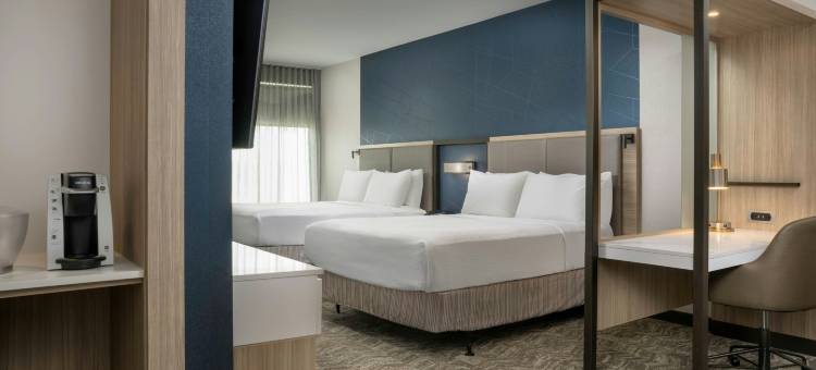 伯明翰加登代尔SpringHill Suites酒店(SpringHill Suites Birmingham Gardendale)图片