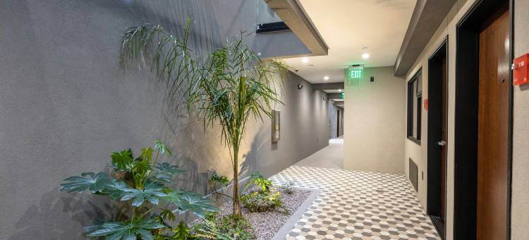 旧金山无限酒店，希尔顿锦绣精选系列(Infinity Hotel San Francisco, Tapestry Collection by Hilton)图片