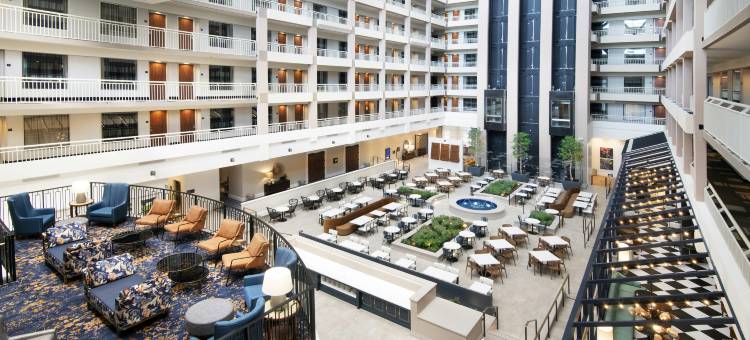 亚特兰大巴克海德希尔顿安泊酒店(Embassy Suites by Hilton Atlanta Buckhead)图片