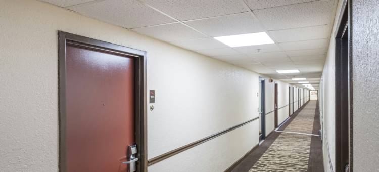 红顶酒店-诺克斯维尔中心佩柏米尔路(Red Roof Inn Knoxville Central - Papermill Road)图片