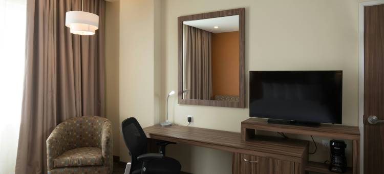 伊拉普阿托欢朋酒店(Hampton Inn by Hilton Irapuato)图片