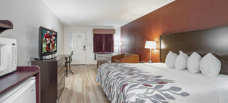 罗马红顶套房酒店(Red Roof Inn & Suites Rome)图片