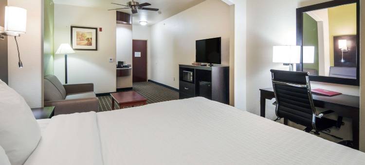 威德福南凯隆套房酒店(Clarion Inn & Suites Weatherford South)图片