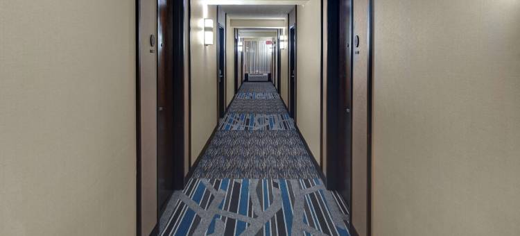 芝加哥伊塔斯卡凯悦嘉轩酒店(Hyatt Place Chicago Itasca)图片