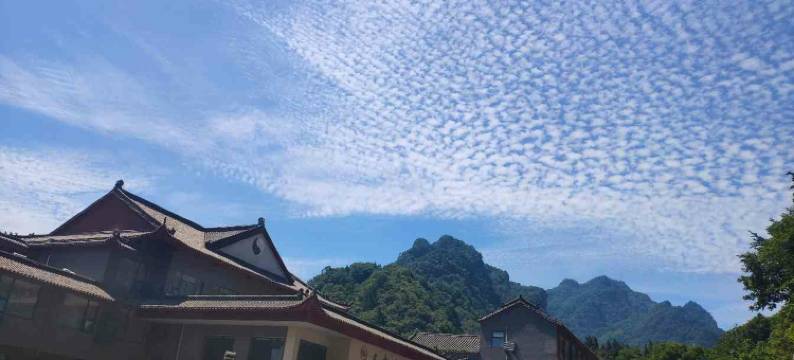武当山太极会馆图片