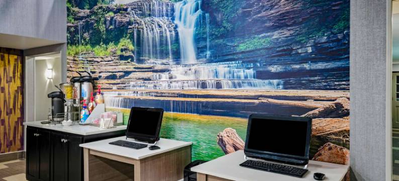 库克维尔拉昆塔温德姆套房酒店(La Quinta Inn & Suites by Wyndham Cookeville)图片