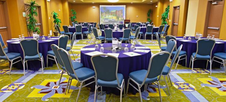 Holiday Inn & Suites 凤凰城机场(Holiday Inn & Suites Phoenix Airport)图片