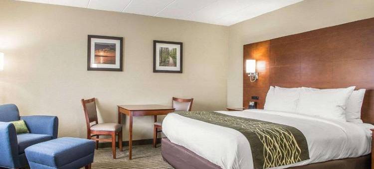 哈蒙德I-94舒适酒店(Comfort Inn Hammond I-94)图片
