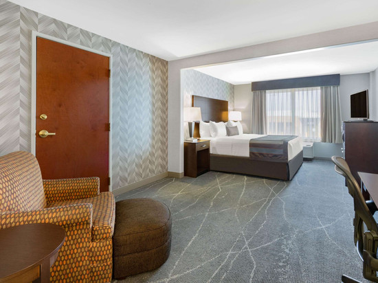 丁雷公园蔚景温德姆酒店