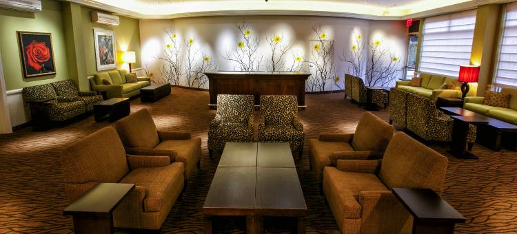 纽约斯塔腾岛希尔顿花园酒店(Hilton Garden Inn New York/Staten Island)图片