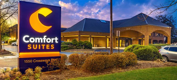 诺福克郡切萨皮克舒适套房酒店(Comfort Suites Chesapeake - Norfolk)图片