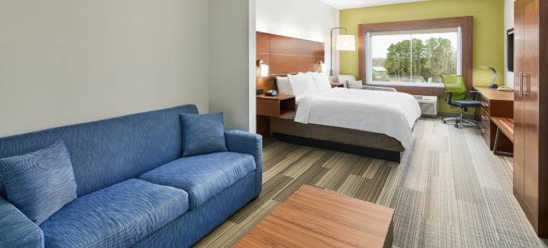 智选假日套房酒店帕拉特卡西北(Holiday Inn Express & Suites PALATKA NORTHWEST by IHG)图片